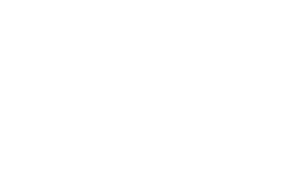 Tailored Freight Logo White